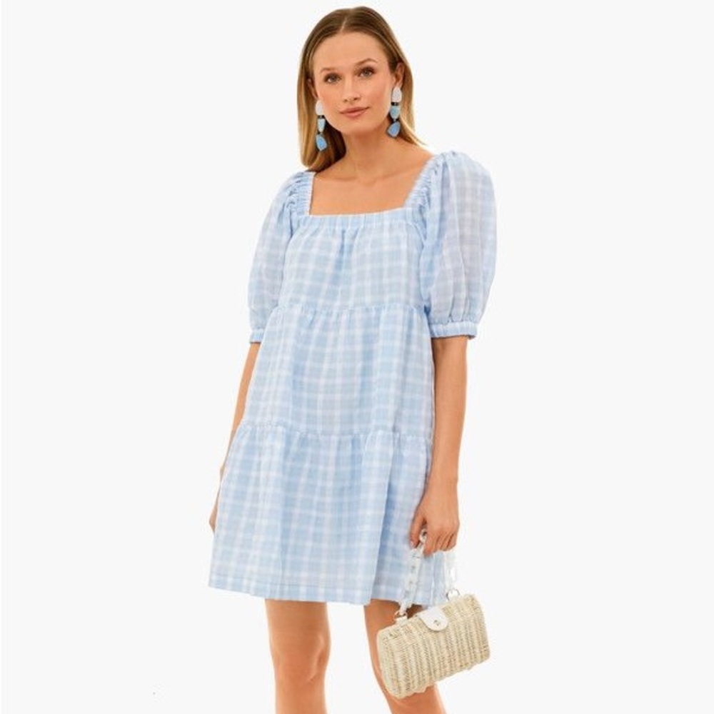 Hyacinth House Blue Plaid Dress - NWT - L
